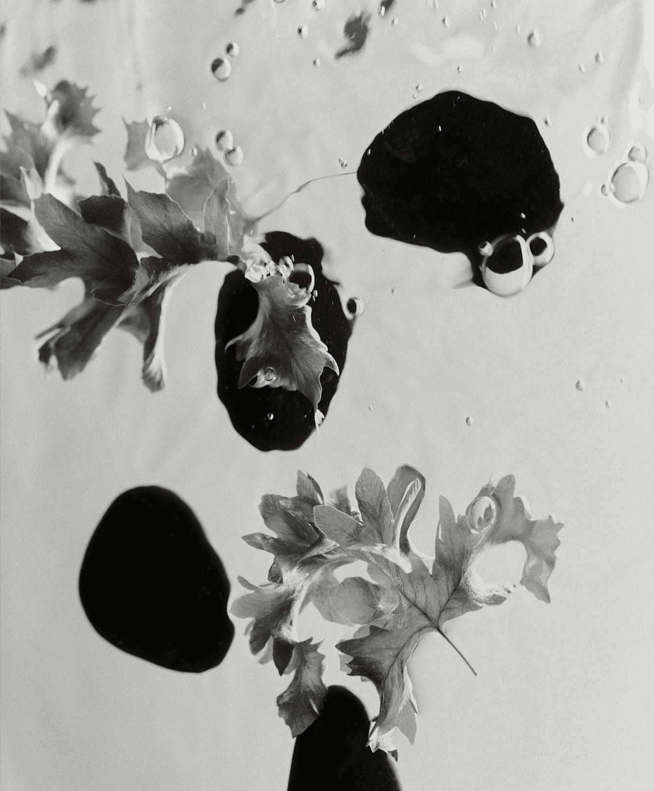 DIA Sounds login background