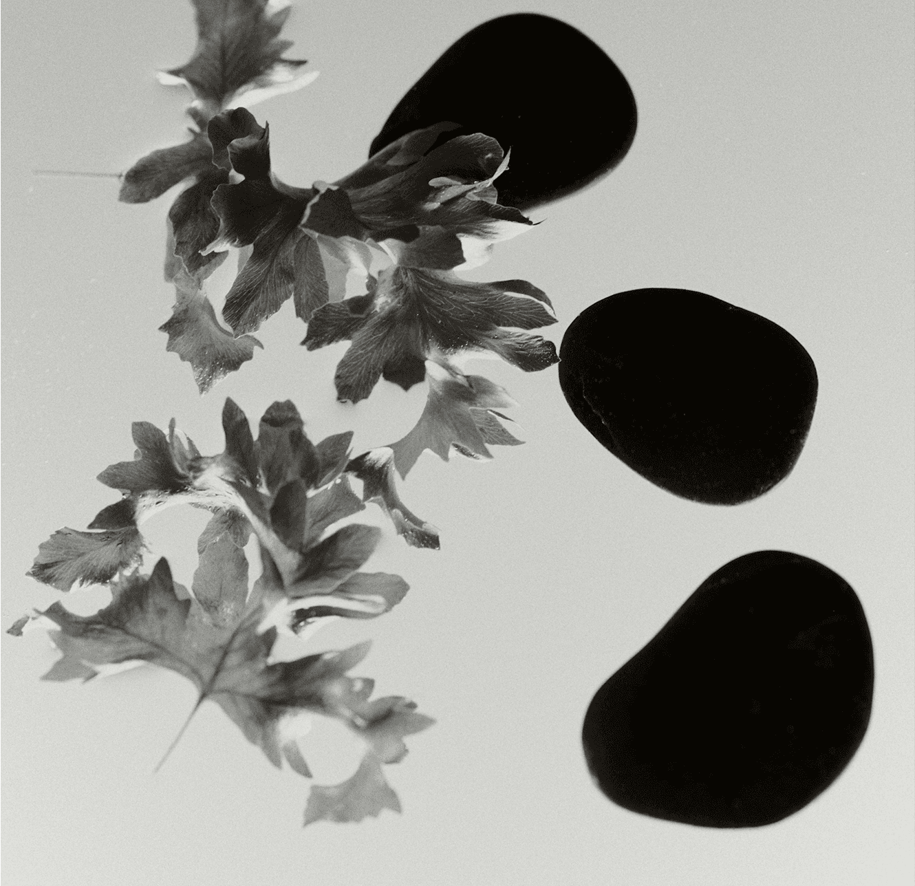 DIA Sounds creators page visual content